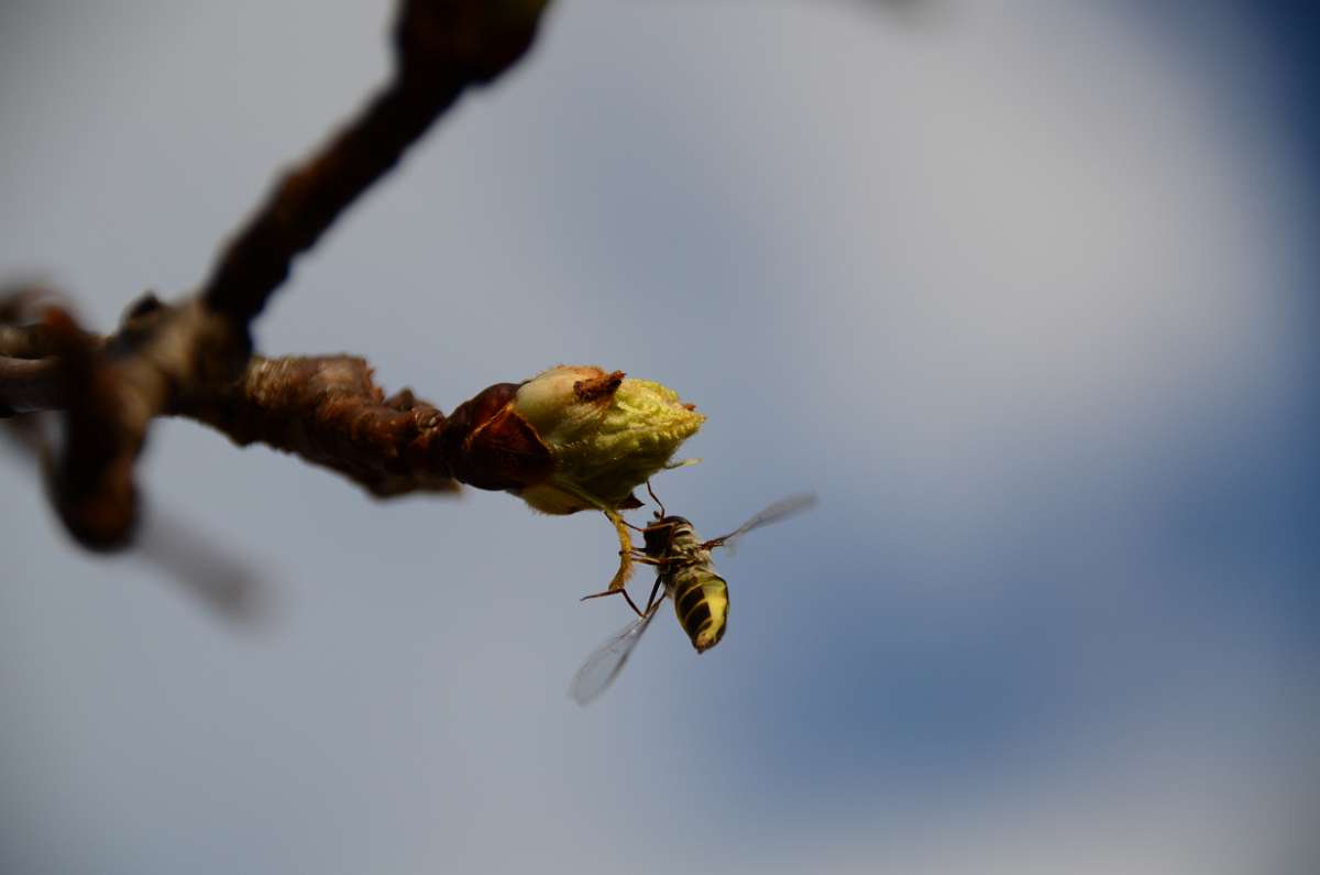 2014-03-17 15-09-12.JPG